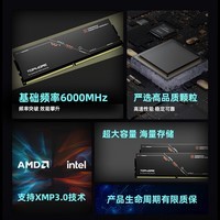 达墨DDR5台式马甲套条 6000频率 32GB 48GB  96GB台式机内存条优选颗粒 6000MHz2条套条 48GB 1套 (24GB*2)C40