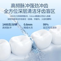 博皓（prooral）冲牙器便携式家用洗牙器牙齿冲洗器水牙线电动洁牙器 正畸专用除牙垢清洁器口腔护理工具 F27pro 晶莹透-【200ml水箱】