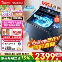 小天鹅价保618】波轮洗衣机全自动家用 10KG纯平全嵌 水魔方防缠绕 超微净泡 以旧换新 全钢内桶1.1高洗净比 波轮 12kg TB12U2