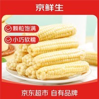 京鲜生 西双版纳拇指小玉米净重1斤装 老品种手指玉米 源头直发包邮