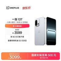一加 13T 16GB+1TB 晨雾灰 oppo 性能超强小直屏 骁龙 8 至尊版 6260mAh电池 智能游戏手机 国家补贴