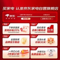海尔（Haier）全自动波轮洗衣机10公斤直驱变频一级 省水省电 家用大容量 家电国家补贴20%以旧换新XQB100-BZ608