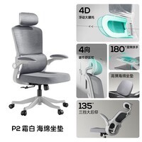 黑白调（Hbada）P2Pro人体工学椅子电脑椅家用舒适久坐办公椅学习椅电竞椅 P2霜白[6向联动扶手+海绵坐垫] 尼龙脚调节扶手