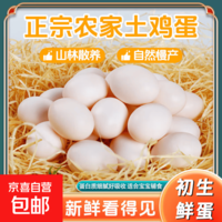 山林散养谷物鲜鸡蛋农场直发虫草蛋现捡现发土鸡蛋单枚40g左右 土鸡蛋10枚