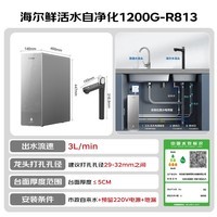 海尔(Haier)鲜活水自净化净水器P3杯杯都鲜活0阻垢剂1200G反渗透纯水洗膜6年长效HKC3000-R813D2U1