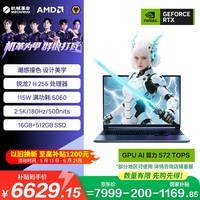 机械革命蛟龙16Pro 潮玩版2026 (R7 H255 RTX5060 )游戏笔记本电脑