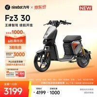 九号(Ninebot)【新国标电自】九号电动Fz3 30电动自行车9号智能电动车【门店自提】 到门店自选颜色
