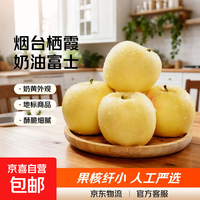 脆甜多汁黄金奶油富士苹果正宗山东烟台栖霞苹果整箱批发新鲜水果 带箱1斤奶油富士/大果65-75mm