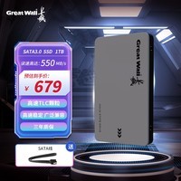长城(Great Wall) 1TB SSD固态硬盘 SATA3.0接口 读速550MB/S台式机/笔记本通用 GW560系列