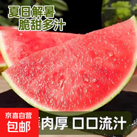 潍坊小西瓜2K小糖丸西瓜新鲜水果薄皮红肉脆甜西瓜产地直发 净重1.5-2斤