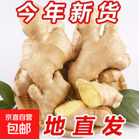 【东东农场专供】风干无泥姜正宗生姜大姜水洗黄姜新鲜月子 山东大姜250g净重250g