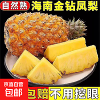 【新鲜直达】海南正宗金钻凤梨手撕凤梨应季新鲜水果大果多汁 1颗 净重0.8-1.2斤