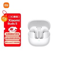 小米（MI）Xiaomi Buds 5【雷总同款】降噪耳机 半入耳式蓝牙耳机 适用于安卓苹果手机（雪山白）