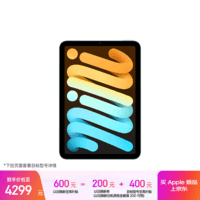 Apple/苹果 iPad mini (A17 Pro) 8.3英寸 平板电脑(256G WLAN版/mini7/MXNC3CH/A)蓝色