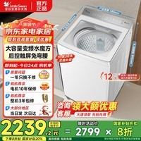 小天鹅（LittleSwan）波轮洗衣机全自动 小乌梅2.0 水魔方防缠绕 变频除菌螨10公斤 家电补贴 以旧换新 12·公斤轻享版|白色|TB12VE20DW