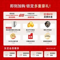 东芝（TOSHIBA）【价保618】玉兔2.0高奢滚筒洗衣机10KG大容量全自动家用 UFB超微泡  以旧换新DG-10T183BW