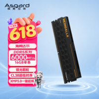 阿斯加特(Asgard)16GB DDR5 6000 台式机内存条 海姆达尔 马甲条 镁光颗粒 CL38 黑厚甲 AI电脑配件升级