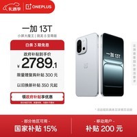 一加 13T 12GB+256GB 晨雾灰 oppo 性能超强小直屏 骁龙 8 至尊版 6260mAh电池 5G游戏拍照AI智能手机 