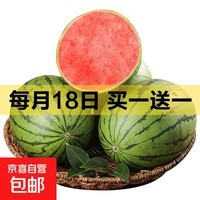 手剥皮小西瓜2K小糖丸西瓜新鲜水果薄皮西瓜脆甜手撕红肉甜瓜整箱 小糖丸2-3斤(1-2粒)