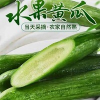 京鲜生山东荷兰水果黄瓜 净4.5斤 单果70g+ 减脂必备源头直发