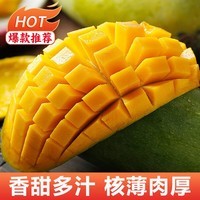 庾丰新鲜芒果当季新鲜现摘孕妇水果 热带整箱应季大青皮芒果 5斤装(净重4.5斤) 单果200g+
