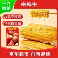 京鲜生 东北黄玉米260g*10棒 真空包装黏玉米棒粘玉米 源头直发