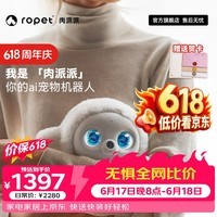 ropet肉派派AI机器宠物  标准版 养成系情感AI陪伴机器人 仿生互动电子宠物 桌面搭子 AI玩具礼物