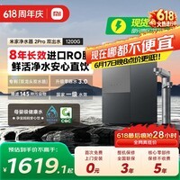 米家小米净水器2Pro 双出水1200G 家用厨下大通量净水机 双龙 头8年长效RO直饮净饮一体机 米家净水器2Pro 双出水1200G