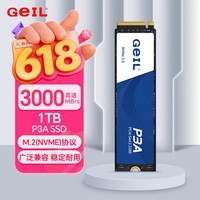 GEIL金邦 1TB SSD固态硬盘 M.2接口PCIe 3.0(NVMe协议)台式机笔记本硬盘 高速3000MB/S P3A系列