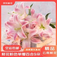 京东鲜花云南昆明鲜花基地直发粉色香水百合9朵家庭生活鲜花源头直发