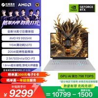 机械革命苍龙18 Pro 游戏本笔记本电脑(R9-9955HX 16G 1T RTX5070 2.5K 180Hz)灰