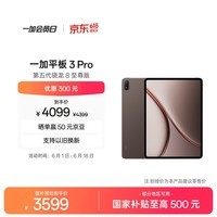 一加平板 3 Pro 国家补贴 13.2英寸平板电脑 第五代骁龙8至尊版 12GB+256GB 深棕 办公学习游戏平板