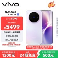 vivo X300s 16GB+512GB 梦核紫 蔡司2亿超级主摄 蔡司APO超级长焦 144Hz蔡司大师色彩屏 拍照 AI手机