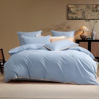 百丽丝 床上三/四件套纯棉磨毛被套床单四件套床上用品套件全棉被罩被单 晴蓝【成品A类&精致刺绣】 1.5米床 床单款 （被套200*230cm）