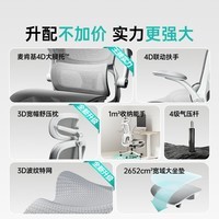 黑白调P2 Pro人体工学椅电脑椅办公椅学习椅久坐电竞椅子人工力学座椅 P2 Pro二代霜白 【麦肯基4D腰托 4D联动扶手 3D颈枕 波纹特网】 无脚托