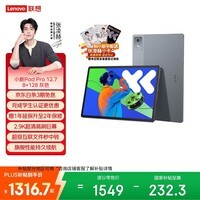 联想小新PadPro12.7 2025款平板电脑 2.9K高刷全面屏 娱乐学习 10200mAh 8+128G大象灰
