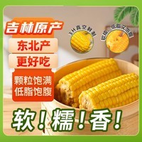 东铁村2025年当季鲜玉米 真空玉米 东北黄糯玉米棒 粘苞米穗 软糯拉丝 黄糯玉米 2.5kg