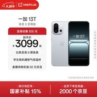 一加 13T 性能超强小直屏 高通骁龙 8 至尊版 6260mAh 冰川电池 AI手机 小屏大魔王 晨雾灰 16GB+1TB