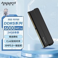 阿斯加特(Asgard)24GB DDR5 6000 台式机内存条 海拉 马甲条 精选颗粒 CL42 极夜黑 AI电脑配件升级
