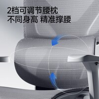 爱果乐（IGROW）B15人体工学椅电脑椅办公椅子人工力学座椅久坐电竞椅学习椅