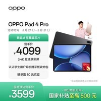OPPO Pad 4 Pro【国家补贴】13.2英寸平板电脑 高通骁龙8至尊版芯片 16GB+512GB 深空灰 