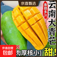 西双版纳 大青芒 青芒爆甜爆汁孕妇小孩都喜欢生熟两吃 带箱2斤净重1.6斤单果100g-300g