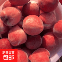 【露天桃】湖北头茬水蜜桃新鲜时令应急水果大毛桃子整箱 【尝鲜】1斤装 2-4粒大果(单果100g+)