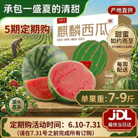 京鲜生 无籽麒麟西瓜 5期定期购 净重7-9斤 1粒装 每周配送