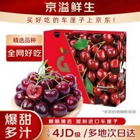 京溢鲜智利车厘子樱桃4J级【JD/顺丰-多地次日达】5kg进口水果年货礼盒 5斤(净重) 巨无霸 3J 30-32mm