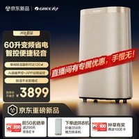 格力双变频除湿机家用抽湿防潮霉干衣Ai智能语音离子净化香薰盒轻音节能60升/天DH60FTA1A(WIFI)