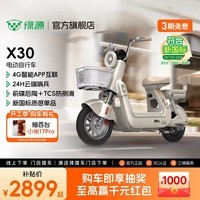 绿源【门店自提】X30 电动自行车 长续航新新国标电动车可上牌 成人通勤代步电瓶车 到门店选颜色