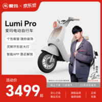 爱玛（AIMA）【上海专属】lumi Pro新国标长续航电瓶车成人男女代步豪华电动车电动自行车 到店选色提车