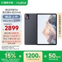 努比亚（nubia）平板Pro 【国家补贴】 10.9英寸平板电脑 骁龙8 Gen3  2.8K超清真彩屏 10100mAh 16G+512G 钛空黑