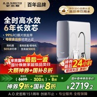 史密斯（A.O.SMITH）佳尼特蓝鲸净水机家用净水器厨房专用台下直饮机一体机厨下1000G CR2500AE1 国家补贴